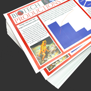 Copies & Flyers